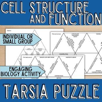 Cell Structure Tarsia Puzzle Activity By Larger Than Life Science