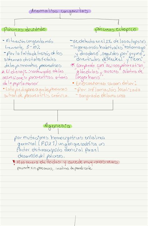 Solution Robbins Y Cotran Patolog A Estructural Y Funcional Vinay