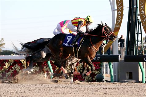 第35回 フェブラリーステークス 有力馬情報｜gⅠ特集｜競馬情報ならjra Van