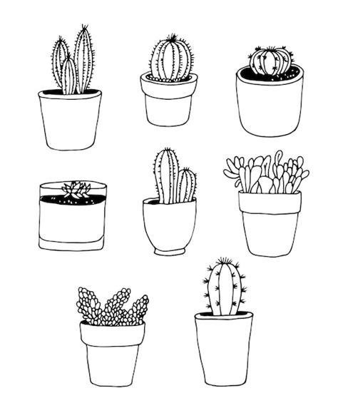 Premium Vector Cactus Hand Drawn Vector Set Plant Collection