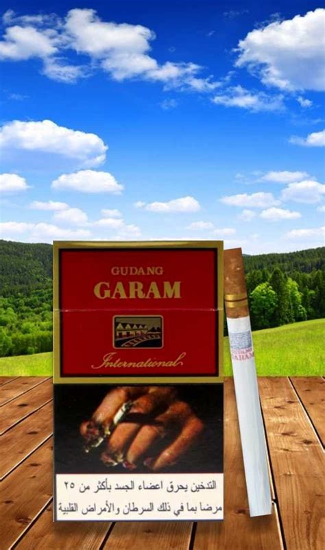 Gudang Garam International 20มวน บุหรี่นอก เหล้านอก พฤศจิกายน 19 2024