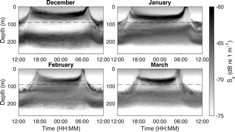 Frontiers Nighttime Swimming Behavior Of A Mesopelagic Fish