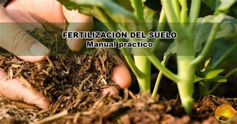 Fertilización Del Suelo【 5 Claves Fundamentales