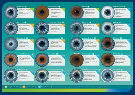 Iridology Online Shop Charts