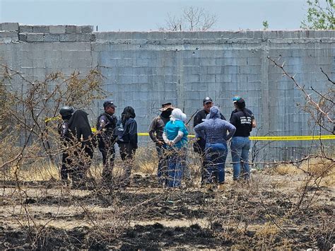 Plataforma Ciudadana De Fosas Clandestinas En México Revela