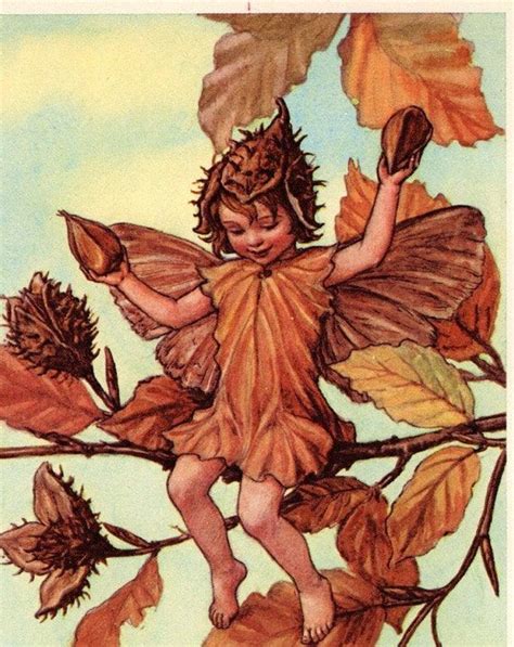 1960 Cicely Mary Barker Flower Fairies Of The Autumn The Beechnut Fairy