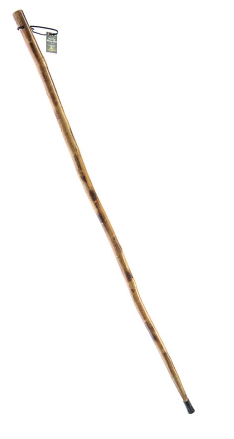 Wooden Walking Stick/Hiking Stick With Built In Compass and Thermometer