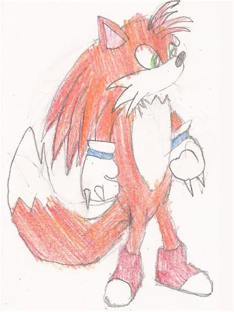 Fusion Of Tails And Knuckles By Whippetwild On Deviantart