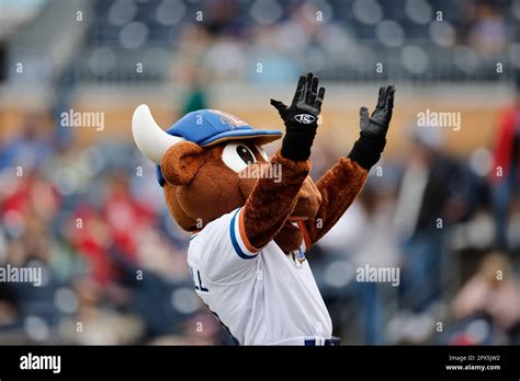 Durham, NC: Durham Bulls mascot Wool E. Bull entertains the fans during ...