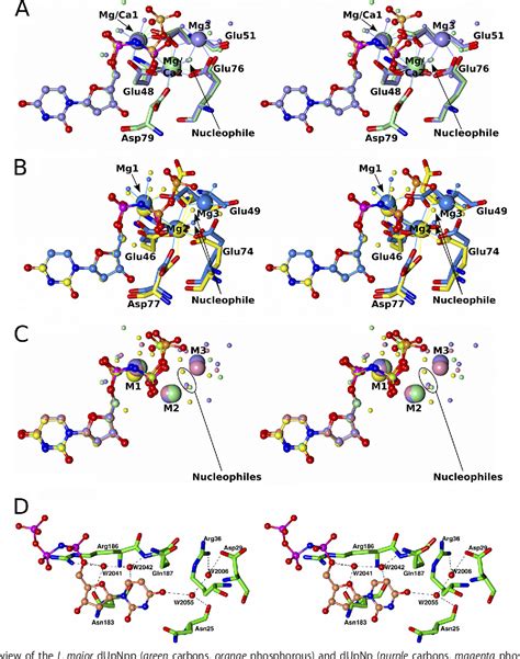 Figure 3 From The Crystal Structure Of The Leishmania Major