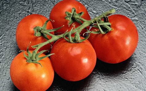 Wallpaper tomatoes red ripe - pictures from Fonwall