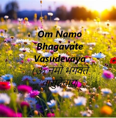 Om Namo Bhagavate Vasudevaya Mantra Meaning Mantras Divine Meant To Be