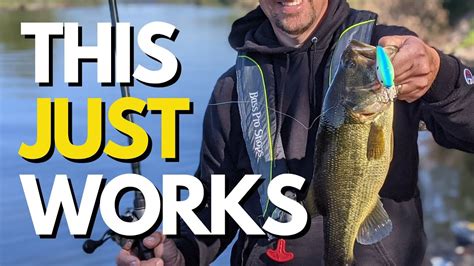 Fish Like This In The Fall And You Will Succeed Fall Bass Fishing