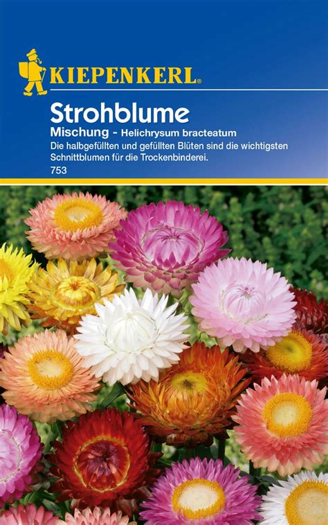 Kiepenkerl Strohblume Schweizer Riesen Mischung Packung Bloomling