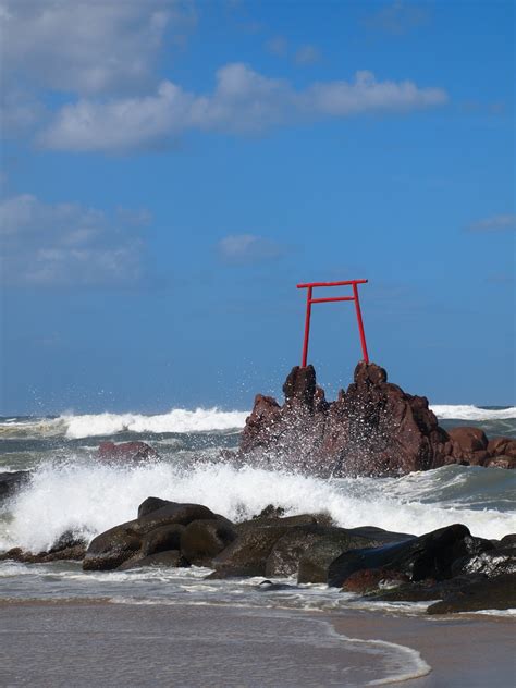 ハワイ海水浴場 | いいものみつけました