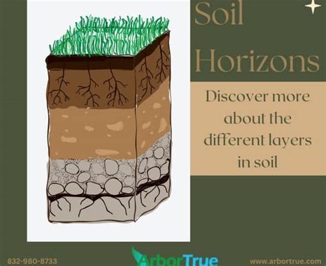 Soil Horizons: Discover more about the different layers in soil