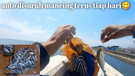 CARA INI LEBIH EFFECTIVE UNTUK MANCING TARGET IKAN TENGKEK MUARA