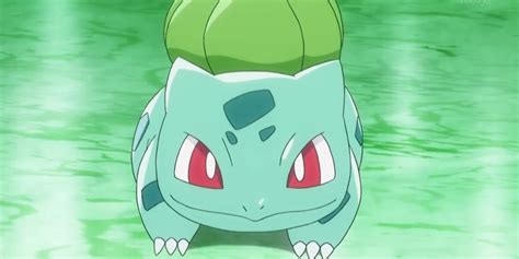 Pokémon: 12 Things You Didn’t Know About Bulbasaur