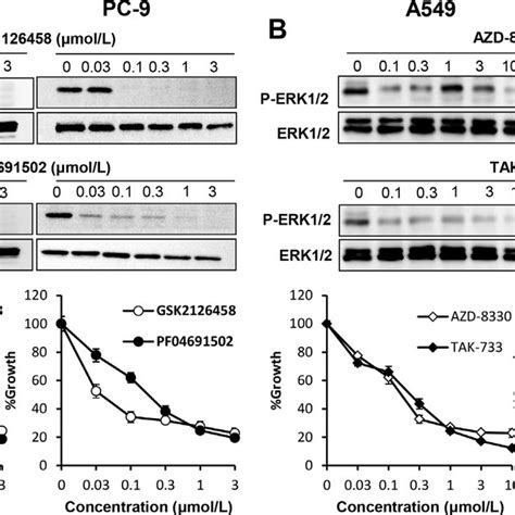Both PI3K/Akt and MAPK signaling pathways are essential in lung cancer ...
