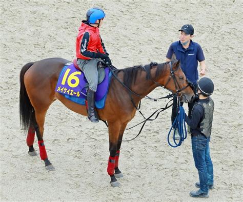 【スプリンターズs】メイケイエール 不安なし 武英師「あとは運だけ」競馬・レースデイリースポーツ Online