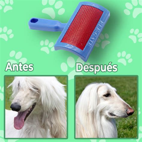 Cepillo Cardina Para Perro Y Gato Con Puntas Protegidas Cuida El