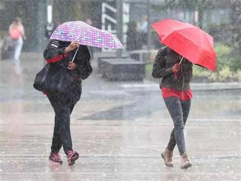 Bms Des Pluies Partir De Lundi Soir Sur Plusieurs Wilayas