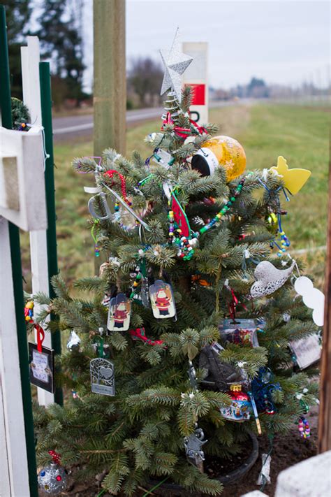 Teresa Hunt Photography Memorial Christmas Tree