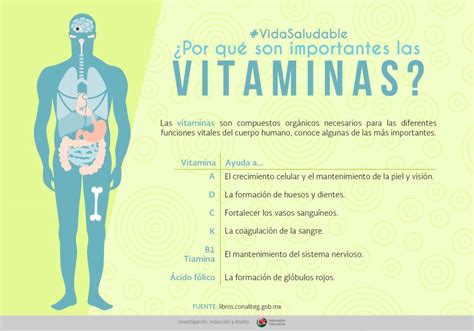 ¿por Qué Son Importantes Las Vitaminas Ntemx