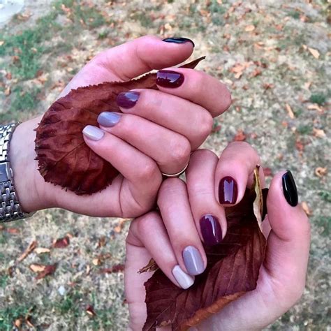 Autum Nails Solid Color Nails Rose Gold Nails Nail Patterns