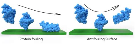 Schematic Representation Of Protein Fouling On Surfaces And Antifouling