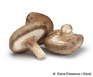 Beneficios del Hongo Shiitake