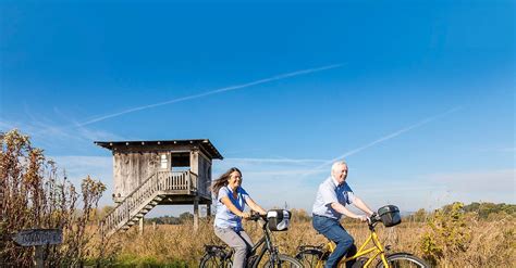 Radtouren Tipp 8 Senne Und Windelsbleiche BERGFEX Radfahren