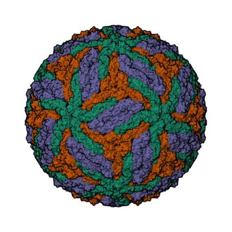 Rcsb Pdb Zqu Cryo Em Structure Of Mature Dengue Virus At