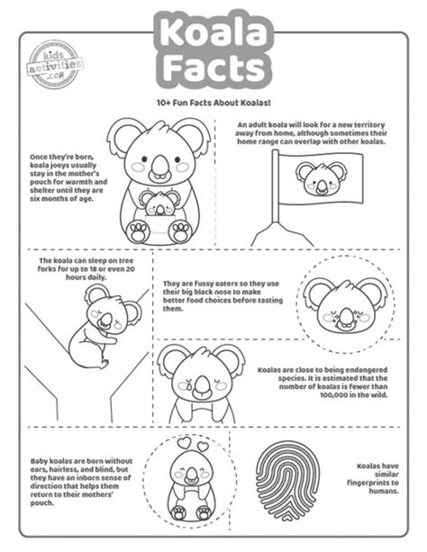 Fun Koala Facts For Kids - Print & Play! | Kids Activities Blog