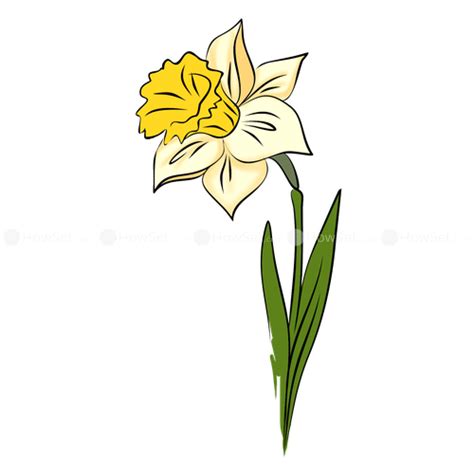 narcissus flower clip art 10 free Cliparts | Download images on ...