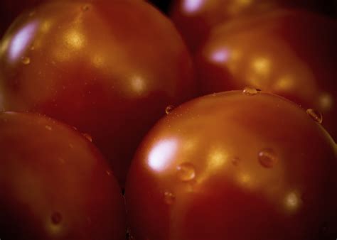 Tomato Free Stock Photo - Public Domain Pictures