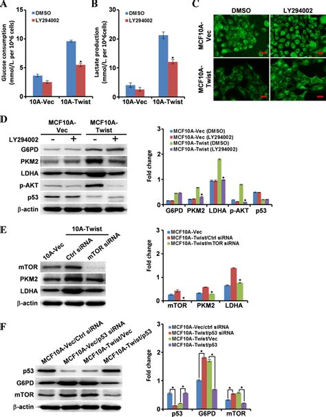 Molecular Mechanisms Underlying Cell Energy Metabolism Reprogramming In