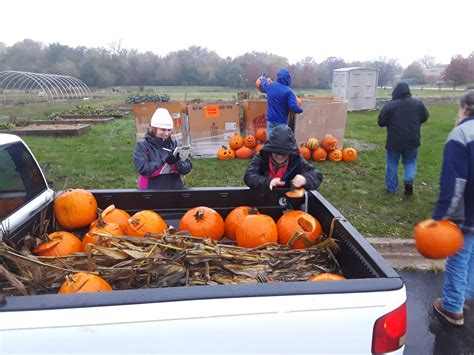 Pumpkin Recycling 2020 – Village of Maple Park, Illinois