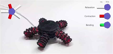 Korean Researchers 3d Print Walking Starfish Robot Using Tensegrity