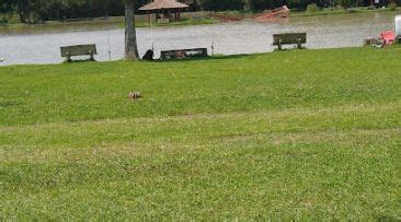 Caete Pesqueiro - Pesqueiro Caetê, R. do Lago Caeté - Mailasqui, São Roque - SP, telefone ...