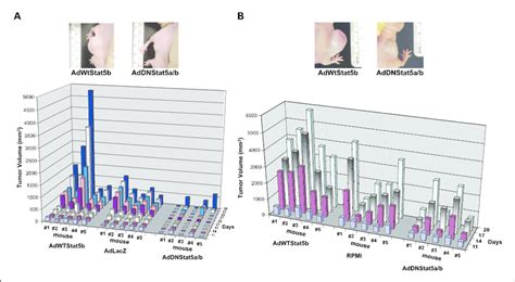 Inhibition Of Stat Decreases Prostate Tumor Growth In Athymic Nude