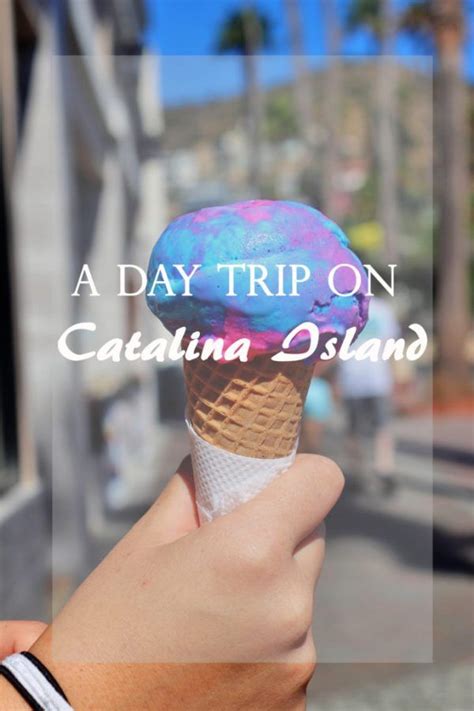 How To Spend One Day On Californias Catalina Island Simply Wander