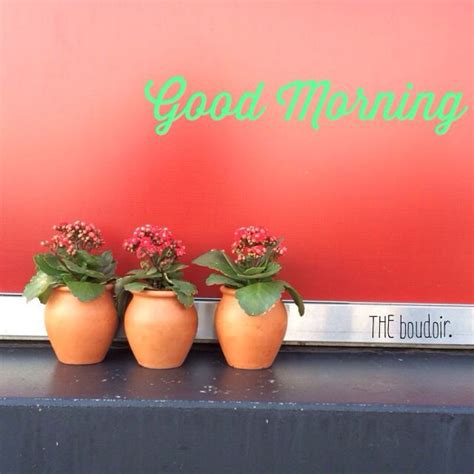 Good Morning Planter Pots Morning Vase Beautiful Home Decor Decoration Home Room Decor