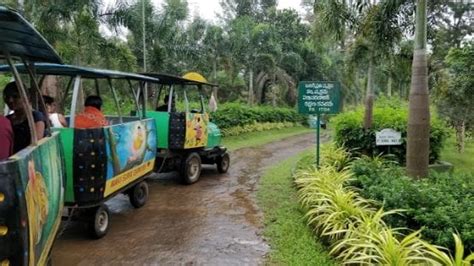 Padmapuram Botanical Gardens Araku Valley What To Expect Timings