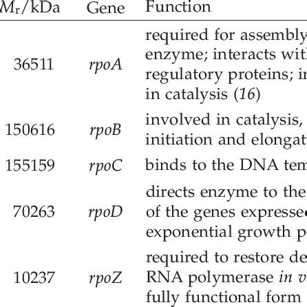 Four Classes Of Gasp Phenotype Class Strong Phenotype Class Weak