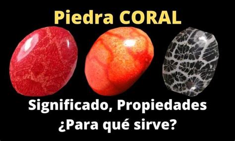 Cuál es el uso de la piedra de coral Propiedades Significados y Colores