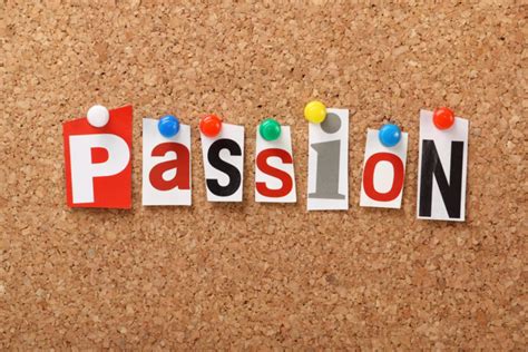 Finding Your Passion What They Never Told Me