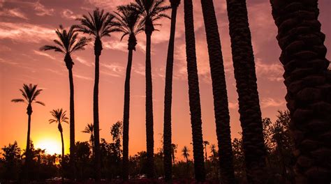10 Fun Things to Do in Indio May 2023 | Expedia