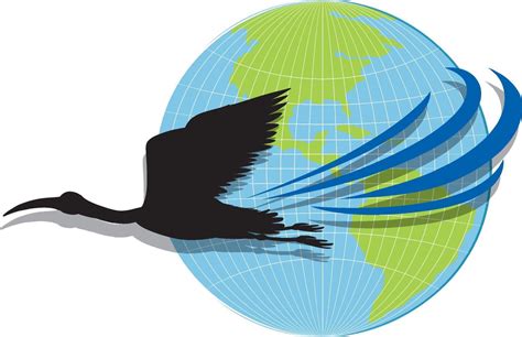 Silhouette stork bird flying on earth 9381612 Vector Art at Vecteezy