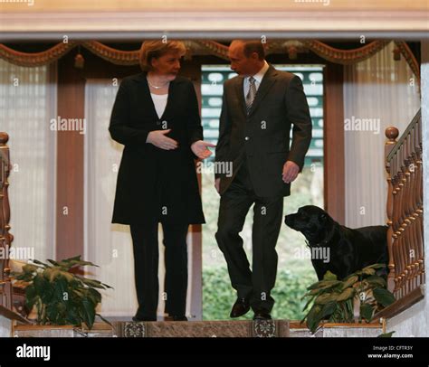 President Vladimir Putin and German Chancellor Angela Merkel had talks at the Bocharov Ruchei ...